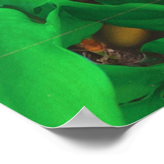 Impression de phot du chat de point de vue mignon (Coin)