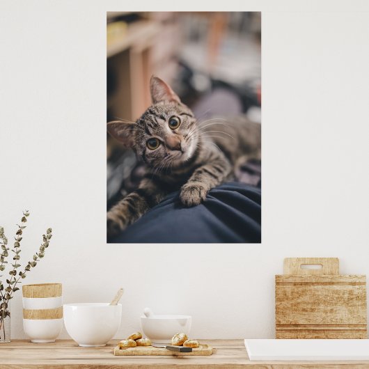 Impression de photo de chat Tabby Joueur (Cuisine)