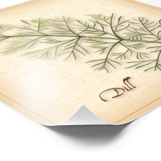 Impression de photo de l'Herbe Dill (Coin)