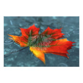 Impression de photo de rétroreflection (Devant)