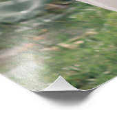 Impression de photo de taille d'affiche – Grande d (Coin)