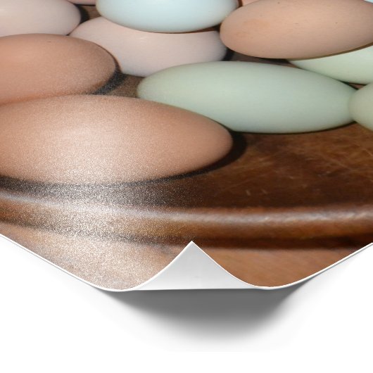 Impression de photo d'oeuf à portée libre (Coin)