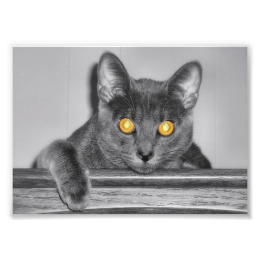 Impression de photo Dusky Gold (Devant)