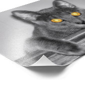 Impression de photo Dusky Gold (Coin)