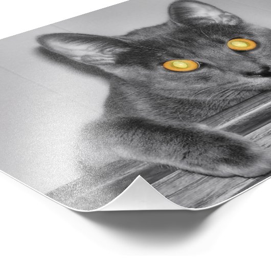 Impression de photo Dusky Gold (Coin)