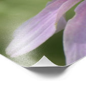 IMPRESSION DE PHOTO EN MELANGE (Coin)