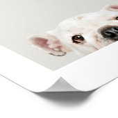 Impression de photo et nom de l'animal personnalis (Coin)