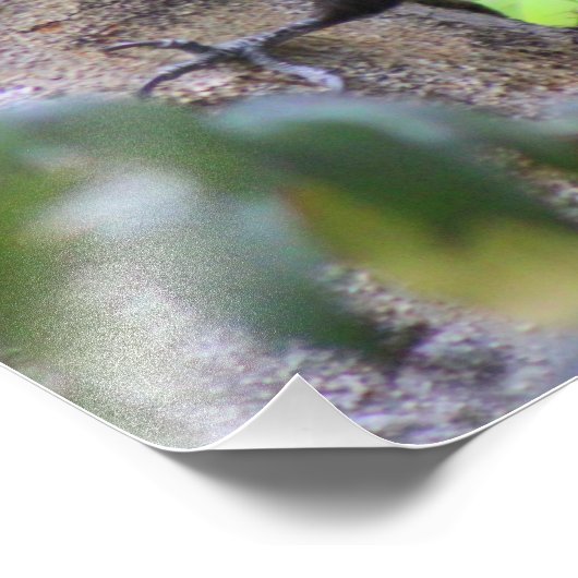 Impression de photo Pic pilé (Coin)