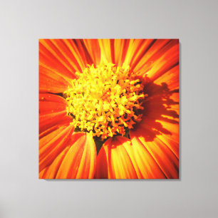 Impression de photo sur toile Fleur orange radieus