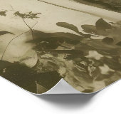 Impression de photographie d'art de rassemblement (Coin)