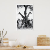 Impression de photographie de faune, girafes noir  (Cuisine)