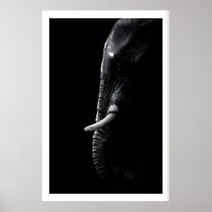 Impression de photographie d'éléphant Art de safar