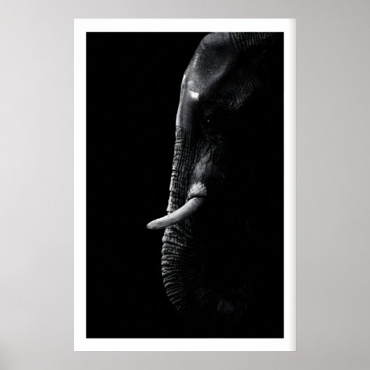 Impression de photographie d'éléphant Art de safar (Devant)