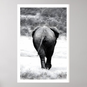 Impression de photographie d'éléphant Art monochro