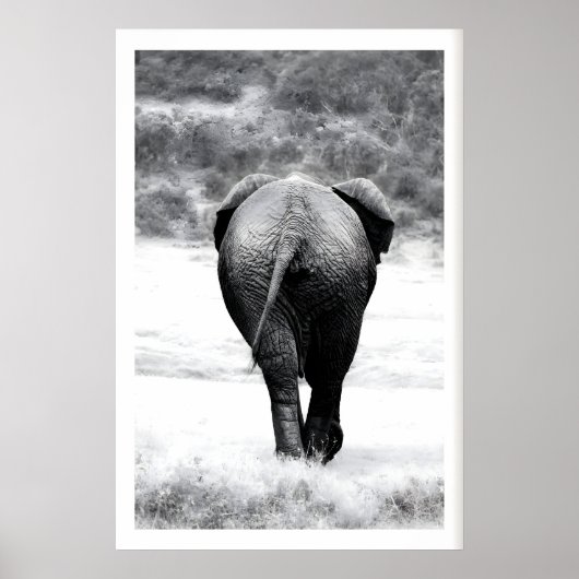 Impression de photographie d'éléphant Art monochro (Devant)