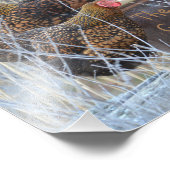 Impression de photos de poulets pour filles (Coin)