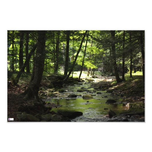 Impression de photos en aval (Devant)