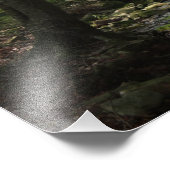 Impression de photos en aval (Coin)