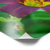 Impression de photos violettes diurnes (Coin)