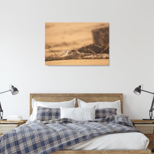 IMPRESSION DE PIPING PLOVER 36 X 24 CANVAS WRAPPEL (Insitu(Chambre))