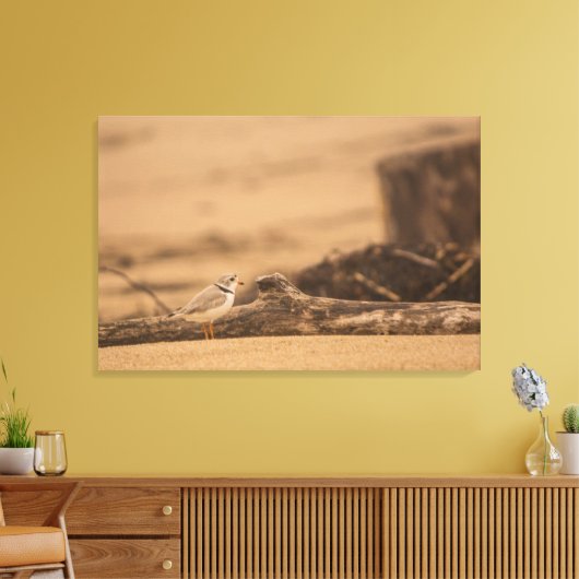 IMPRESSION DE PIPING PLOVER 36 X 24 CANVAS WRAPPEL (Insitu(Salon))
