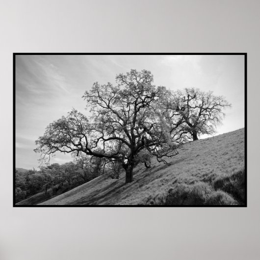 Impression de poésie arborescente (Devant)