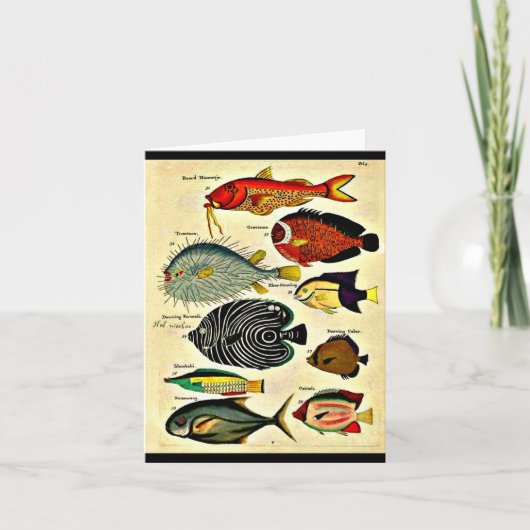 impression de poisson (Devant)