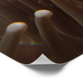 Impression de poisson clown Nemo (Coin)