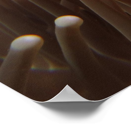 Impression de poisson clown Nemo (Coin)