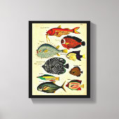 impression de poisson d'époque (Recto)