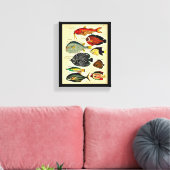 impression de poisson d'époque (Insitu(Salon))