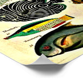 impression de poisson d'époque (Coin)