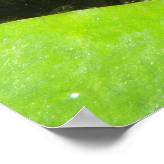 Impression de poisson rouge (Coin)