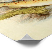Impression de poisson vintage 026 | Truite Gillaro (Coin)