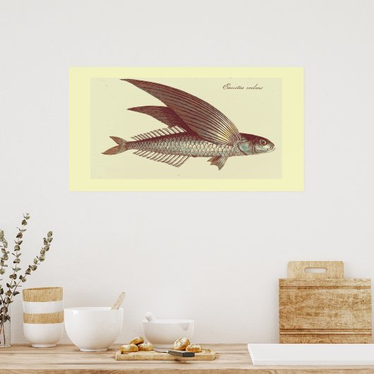 Impression de poisson volant vintage (Cuisine)