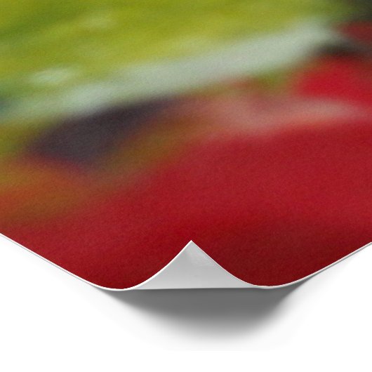 impression de pommes (Coin)