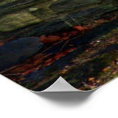 Impression de porte bleue (Coin)