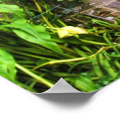 Impression de porte d'homme silencieuse (Coin)