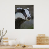 Impression de portrait de blaireau (Cuisine)