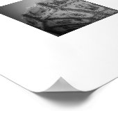 Impression de poster de manège de balançoire de fo (Coin)