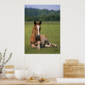 Impression de poulain de New Forest (Cuisine)