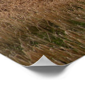 Impression de prés irlandais (Coin)