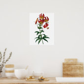 Impression de qualité PREMIUM botanique du lis rou (Cuisine)