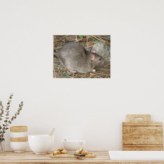 Impression de Rat sauvage (Cuisine)