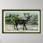 Impression de rennes vintages (Devant)