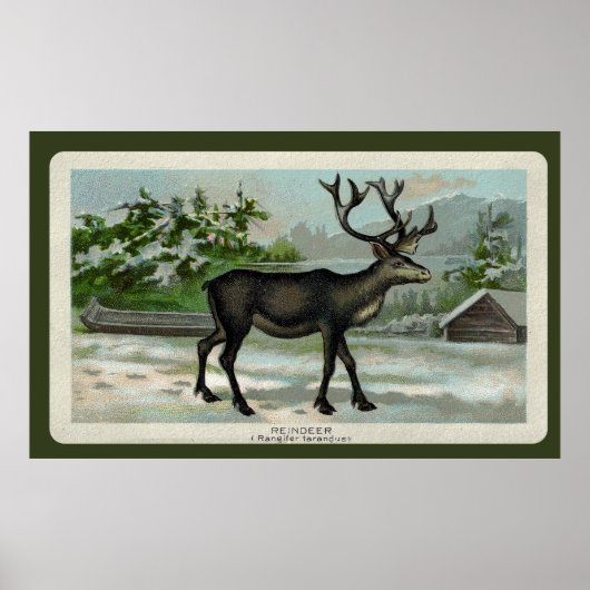 Impression de rennes vintages (Devant)