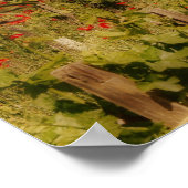 Impression de rêve toscan (Coin)