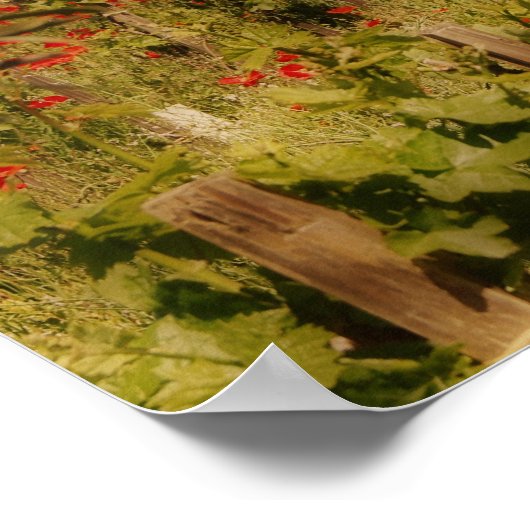 Impression de rêve toscan (Coin)