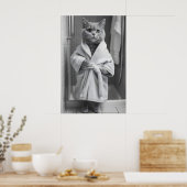 Impression de robe de bain de chat British Shortha (Cuisine)