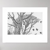 Impression de Rookery Cornwall, Réédition d'Eleano (Devant)
